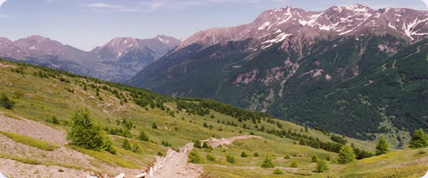 Metanodotto Alpino s.r.l.